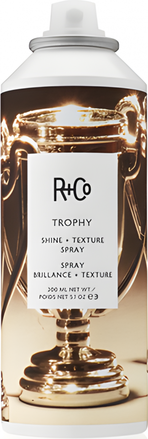 TROPHY Shine + Texture Spray/ТРОФЕЙ спрей для текстуры и блеска 198 мл